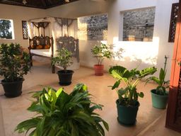 1 bedroom beachfront apartment available in Lamu Bed and breakfast