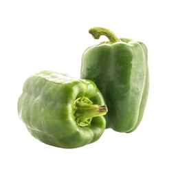 Capsicum