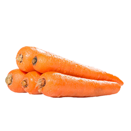 Carrot