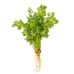 Coriander Leaves 100g