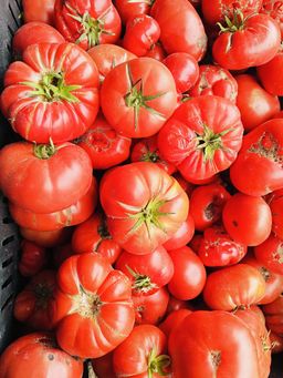 طماطة محلية بازيان