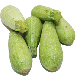 Zucchini Doha 500g