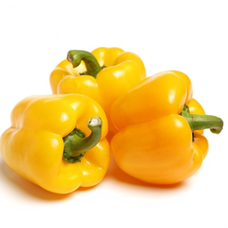 Capsicum Yellow Oman 500g