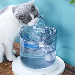 Pet Water Fountain