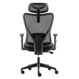 Chaise élévatrice ergonomique 