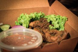 Frozen Chicken Satay