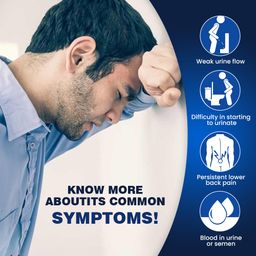 Sumifun Prostate Care Cream – Relieves Frequent Urination, Supports Prostate Function, Promotes Urinary Health & Restful Sleep (20g)