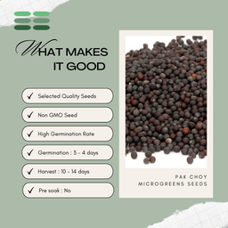Pak Choy Microgreens Seeds