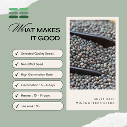 Curly Kale Microgreens Seeds