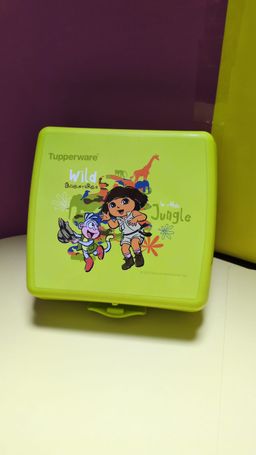 Dora Sandwich box