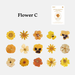 Flower C