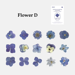 Flower D