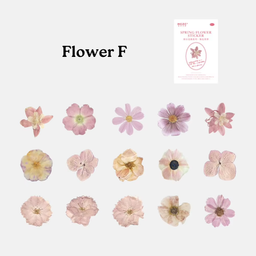 Flower F