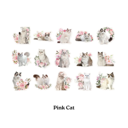 Pink Cat