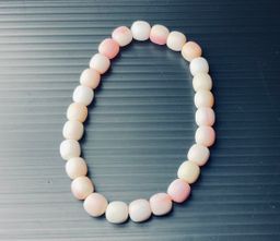 QUEEN CONCH BARREL SHAPPE 