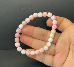 QUEEN CONCH BARREL SHAPPE 