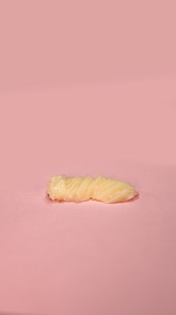 Camphor Rubbing Salve - Northern Shaman