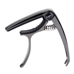 Metal Iconic Guitar Capo Peg Transposer 