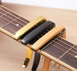Metal Iconic Guitar Capo Peg Transposer 