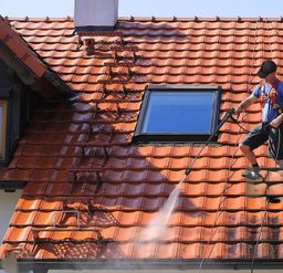 Roof cleaning