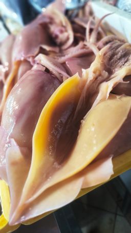 S- Sotong Kembang (2pc)