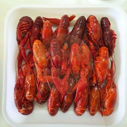 Original Crawfish Baby Lobster   原味 小龙虾