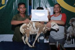 Korban Kambing 🐐 🇮🇩 Indonesia, Medan