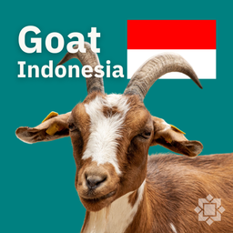 Korban Kambing 🐐 🇮🇩 Indonesia, Medan
