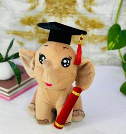 Graduation Elephant