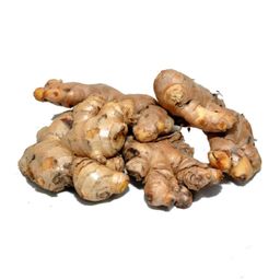 Organic Old Gingers (10-11 months) 300g