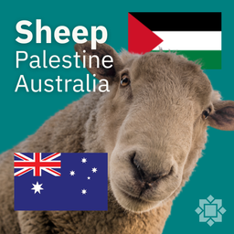 Korban Kambing 🐐 🇦🇺 Australia 🡒 🇵🇸 Palestine 