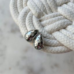 Shiny Silver Drop Earring