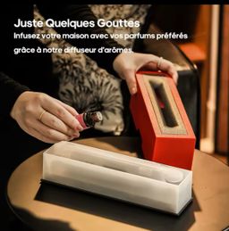 DIFFUSEUR DE SENTEUR DOMICILE