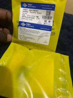 Radiator bleeding screw