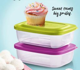 SMALL RECTANGULAR SAVER 500ml