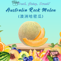 Fresh Australian Rockmelon /澳洲哈密瓜