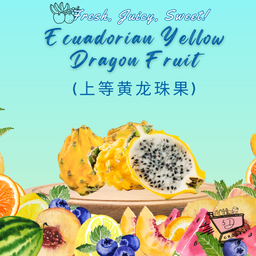 Fresh Ecuadorian Yellow Dragon Fruit/上等黄龙珠果