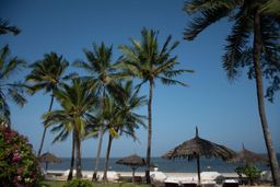 1 Bedroom in Malindi Oasis Village on Silver Sands Beach