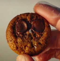 Signature Seasalt Chocolate Chips (about 30pcs) Bottle 