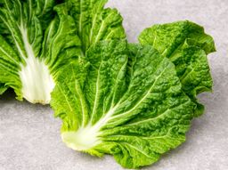 한끼 쌈추, 80g, 2개 Single-Meal Lettuce 80g x2