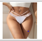 White Lace  Seamless Panty 