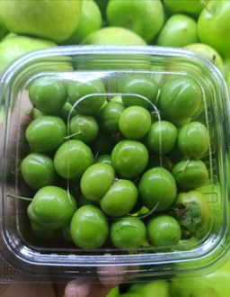 الأكثر طلبا