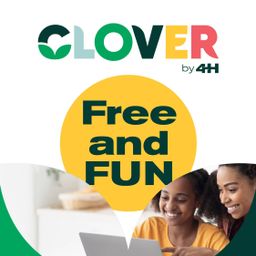 Trench Town Reading Center Project 