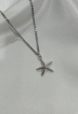 Silver starfish
