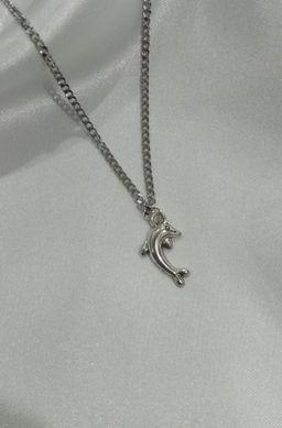 Silver dolphin