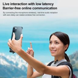 Micro cravate sans fil AP031-3IN1