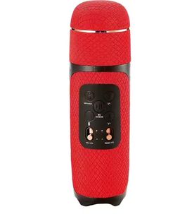 Haut-Parleur Karaoké D'origine WSTER WS-1860 Haut-Parleur de Microphone Sans Fil