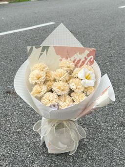 Mother’s Day Champagne Carnation Bouquet