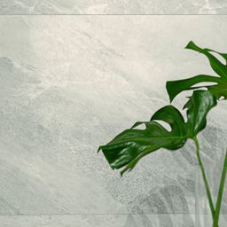 Wind White (Matt) R10 90 x 90