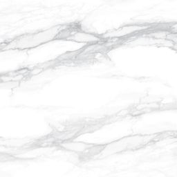 Colosseum White (Matt) R10 60 x 60